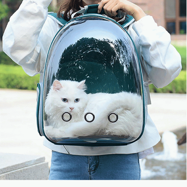 cute-pet-bag
